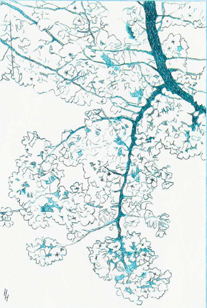 Howard Hitchcock,  Drypoint,  "Cherry Blossoms II" ,  8" x 5 1/4