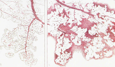 Howard Hitchcock,  Drypoint,  "Cherry Blossoms, Japan" ,  8" x