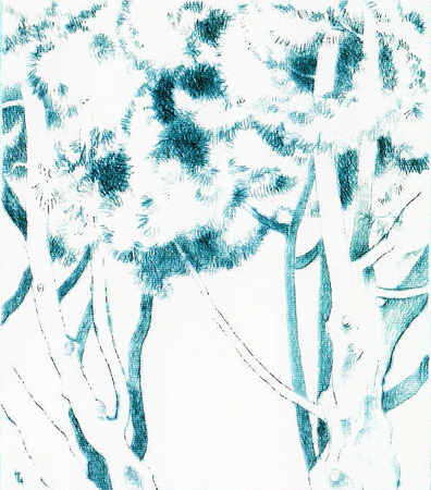 Howard Hitchcock,  Drypoint,  "Junipers" ,  4 1/2" x  4",  1996.